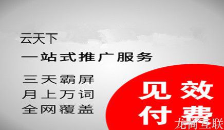 龙商互联济南seo互联网网络推广具备什么方式?