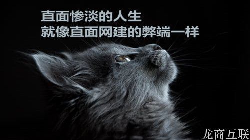 抖拓济南网站建设：浅谈心理学