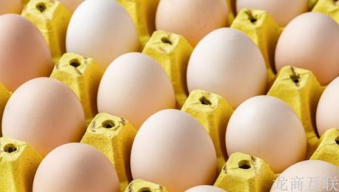 1597299364919455.jpg 2.jpg