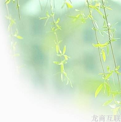 清风算法