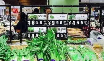 龙商互联济南无公害蔬菜上线社区团购，一年营业翻10倍，做对了什么？