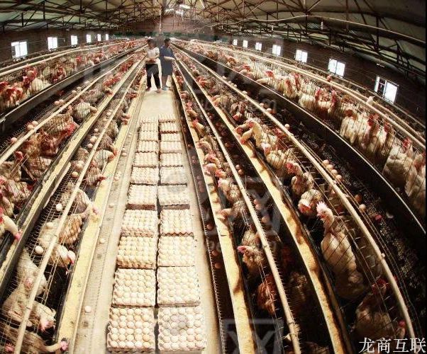 抖拓济南农产品电商：养殖业商家做社区团购小程序好吗？怎么做？