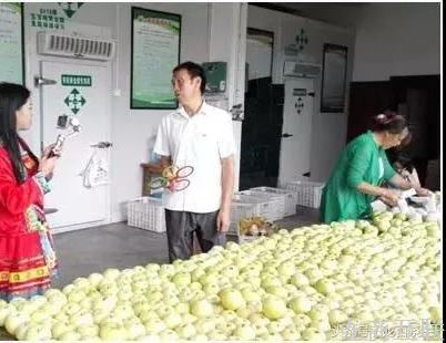 抖拓济南社区团购平台以直播形式卖菜，可行吗？