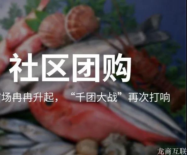 龙商互联济南社区团购：“考拉精选”有何运营亮点？哪些经验值得借鉴？