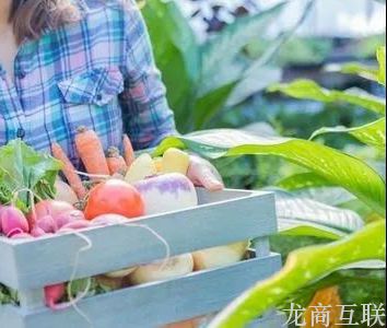 抖拓济南社区拼团_生鲜配送软件_兴盛优选系统_社区团购系统-抖拓
