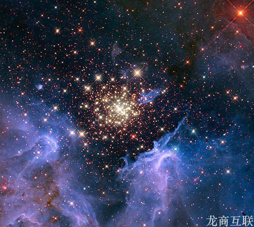 抖拓济南淘宝运营进阶培养体系