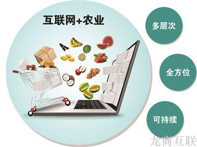 抖拓济南互联网+农业市场营销策略
