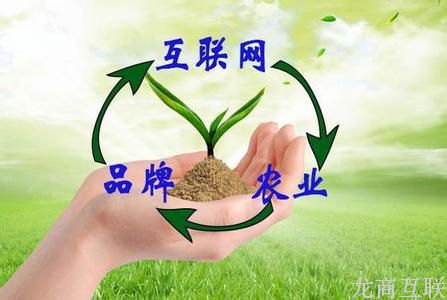 抖拓济南国家着手推进农业品牌化！