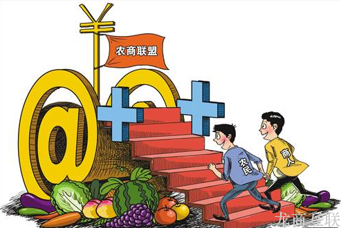抖拓济南推进农村电商发展写进中央一号文件