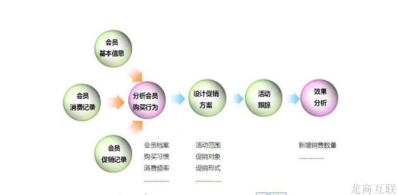 抖拓济南如何搭建一个合理的会员积分体系?