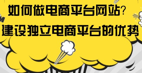 抖拓济南如何做电商平台网站？建设独立电商平台的优势