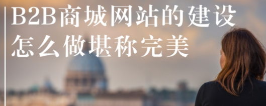 抖拓济南B2B商城网站的建设怎么做堪称完美