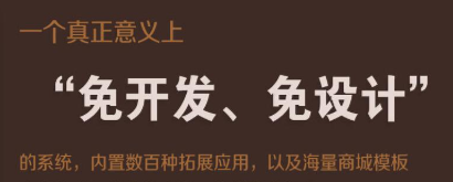 抖拓济南2019年哪个商城系统最好？