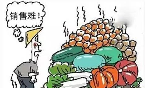 抖拓济南农产品可以做三级分销系统吗？农产品三级分销有哪些优势？