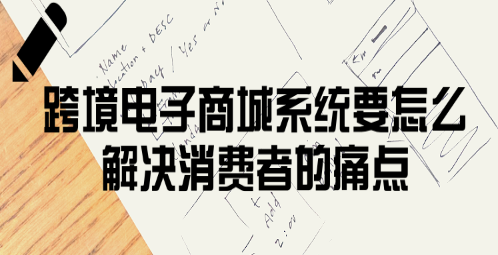 龙商互联济南跨境电子商城系统要怎么解决消费者的痛点