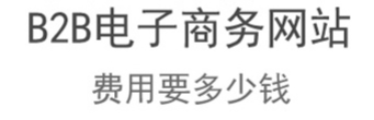 抖拓济南开发一个B2B电子商务网站，费用要多少钱