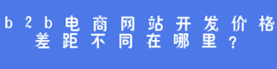 抖拓济南b2b电商网站开发价格差距不同在哪里