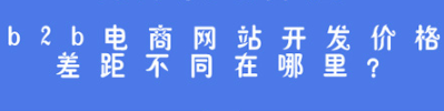 龙商互联济南b2b电商网站开发价格差距不同在哪里