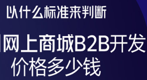 抖拓济南以什么标准来判断网上商城B2B开发价格多少钱
