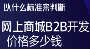 龙商互联济南以什么标准来判断网上商城B2B开发价格多少钱