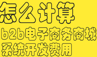 抖拓济南b2b电子商务商城系统开发费用怎么计算