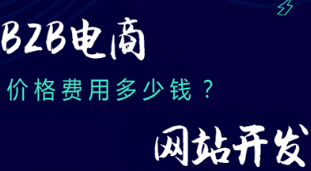 抖拓济南B2B电商网站开发价格费用多少钱？